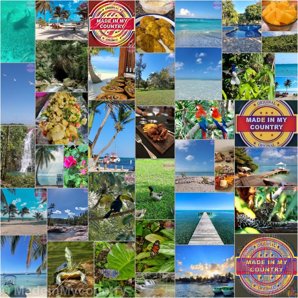 MadeinMycountry Miami (Mayaimi). MadeinMycountry is a global platform that celebrates and supports local history, culture, art, and nature conservation efforts. For two decades, we have been sponsoring local museums, cultural organizations, travel destinations, historical sites and various cultural events around the world. 